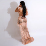 Sexy Feather Straps High Slit Sequin Low Back V-Neck Party Nightclub Style Dress