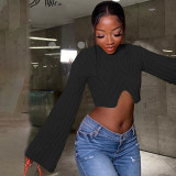 Autumn And Winter Sweater Solid Color Women Casual Long Sleeve Round Neck Classic Tight Fitting Irregular Crop Mid-Waist Women's Clothing