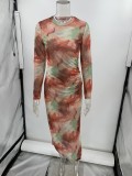 Autumn Mesh Sexy Printed Slim Long-Sleeved Dress