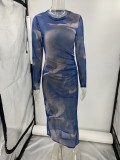 Autumn Mesh Sexy Printed Slim Long-Sleeved Dress