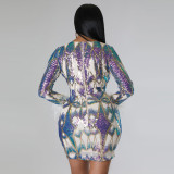 Women's V Neck Sexy Sequin Long Sleeve Nightclub Party Dress