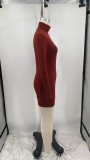 Women's Solid Color Long Sleeve Tight Fitting Dress