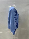 Lantern Sleeve Loose Pullover Knitting Sweater For Women