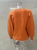 Lantern Sleeve Loose Pullover Knitting Sweater For Women