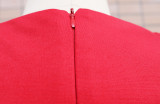 Women Puff Long Sleeve V Neck Bodycon Dress