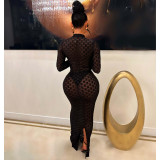 Women's Fashion Mesh Round Neck Slim Fit Long Dress