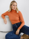 Autumn Turtleneck Pullover Sweater Knitting Basic Shirt For Women