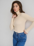Autumn Turtleneck Pullover Sweater Knitting Basic Shirt For Women