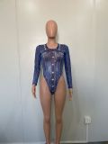 Women Mesh Bodysuit and Print Skirt two-piece set