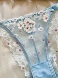 Women Autumn French Printed Embroidered Mesh See-Through Sexy Lingerie Two-piece Set
