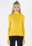 Women's Solid Color Basic Shirt Autumn Knitting Shirt Turtleneck Plus Size Sweater