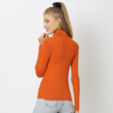Women's Solid Color Basic Shirt Autumn Knitting Shirt Turtleneck Plus Size Sweater