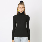 Women's Solid Color Basic Shirt Autumn Knitting Shirt Turtleneck Plus Size Sweater