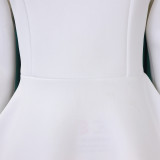 Winter Chic Elegant Fur Decorated Long Sleeve A-Line African Party Dress