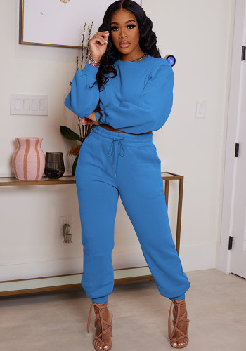 Solid Color Fleece Long Sleeve Top Stylish Casual Pants Plus Size Two Piece Set