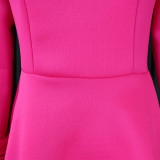 Winter Chic Elegant Fur Decorated Long Sleeve A-Line African Party Dress