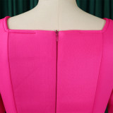 Winter Chic Elegant Fur Decorated Long Sleeve A-Line African Party Dress