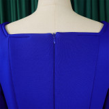 Winter Chic Elegant Fur Decorated Long Sleeve A-Line African Party Dress