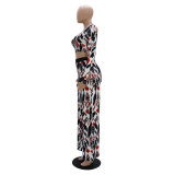 Fashionable Slim-Fitting Short T-Shirt High-Waisted Loose Bootcut Trousers Spring And Autumn Two-Piece Set