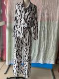 Women's Fashion Print Turndown Collar Long Sleeve Casual Shirt High Waist Straight Pants Set
