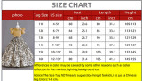 Children's Clothing Chiffon Retro Pattern Children's Dress Girl Wprincess Dress
