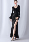 Feathers Sequins Long Sleeve Evening Dress