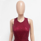 Sleeveless Sequin Round Neck Slim Fit Women's Jumpsuit