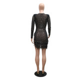 Women Sexy V-Neck Slit Beaded Feather See-Through Long Sleeve Dress