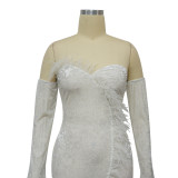 Women's Autumn Winter Feather Velvet Slim Bodycon Dress With Gloves
