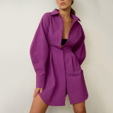 Women French Long Sleeve Vintage Dress