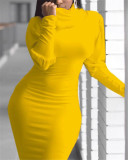 Women Fall High Neck Long Sleeve Bodycon Dress