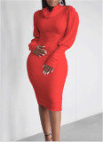 Women Fall High Neck Long Sleeve Bodycon Dress