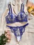 Flower Embroidery See-Through Mesh Sexy Bra and panty lingerie set