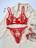 Flower Embroidery See-Through Mesh Sexy Bra and panty lingerie set