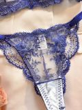Flower Embroidery See-Through Mesh Sexy Bra and panty lingerie set