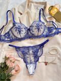 Flower Embroidery See-Through Mesh Sexy Bra and panty lingerie set