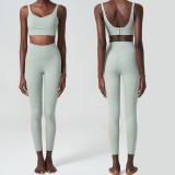 Plus Size Lycra Yoga Suit Women's Sports and Fitness Clothing Two-piece Pants Set