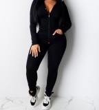 Spring Sexy Casual Solid Color Hooded Two Piece Tracksuit