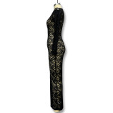 Autumn women's hollow lace pattern See-Through slim long dress