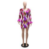 Stylish Sequin Sexy Bodycon Women Party Dress
