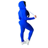 Spring Sexy Casual Solid Color Hooded Two Piece Tracksuit