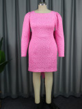 Women Elegant Long Sleeve Backless Dress