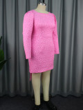 Women Elegant Long Sleeve Backless Dress