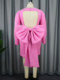 Women Elegant Long Sleeve Backless Dress