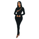 Sexy Slim Bodycon Mesh Dress Club Wear