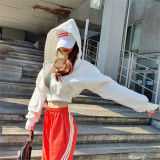 Autumn and winter chic fashion hooded short sportsCasual zipper women's trend Hoodies