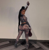 Women sexy mesh See-Through printed Top and high-waisted Casual trousers two-piece set