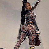 Women sexy mesh See-Through printed Top and high-waisted Casual trousers two-piece set