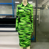 Women's Spring And Summer Printed Fashion Casual Pleated Long Sleeve Slim Chic Long Dress