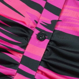 Women's Spring And Summer Printed Fashion Casual Pleated Long Sleeve Slim Chic Long Dress